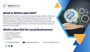 White Label SEO agency